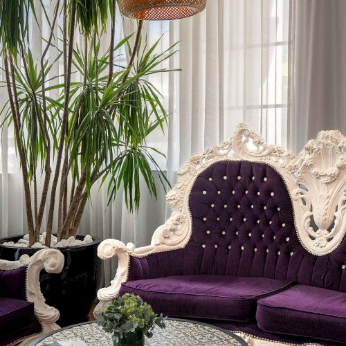 Elegant living room with a white ornate sofa, purple tufted cushions, a glass coffee table, lush plants, and warm woven pendant lighting.