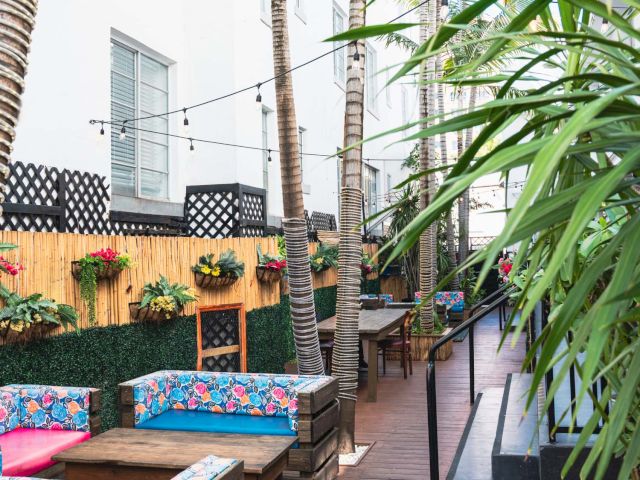 A cozy outdoor seating area with palm trees, string lights, and flowering plants.